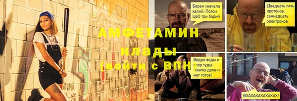 молекула духа Белокуриха