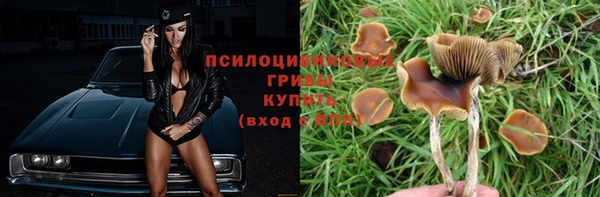 молекула духа Белокуриха